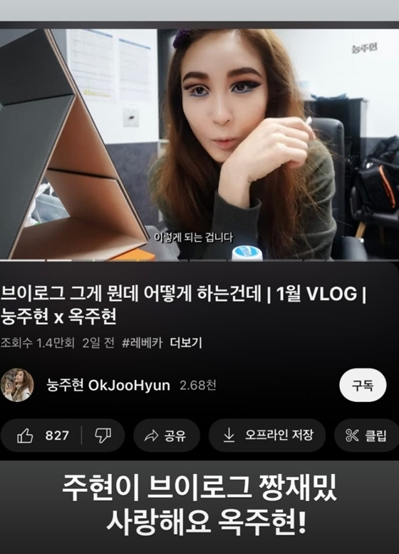 /사진=이효리 인스타그램 스토리