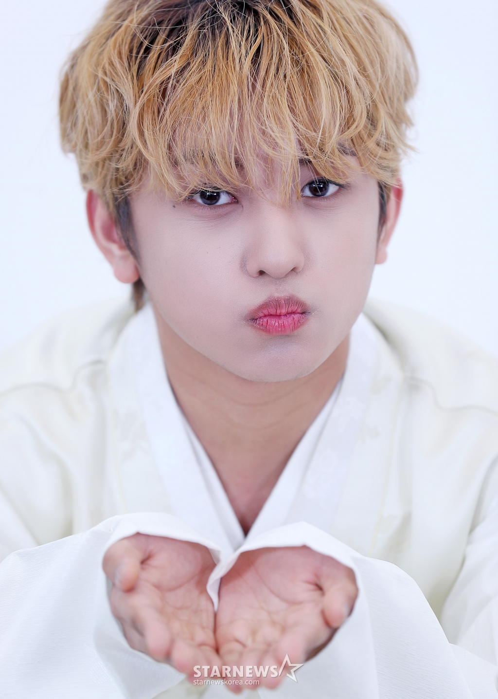 사진