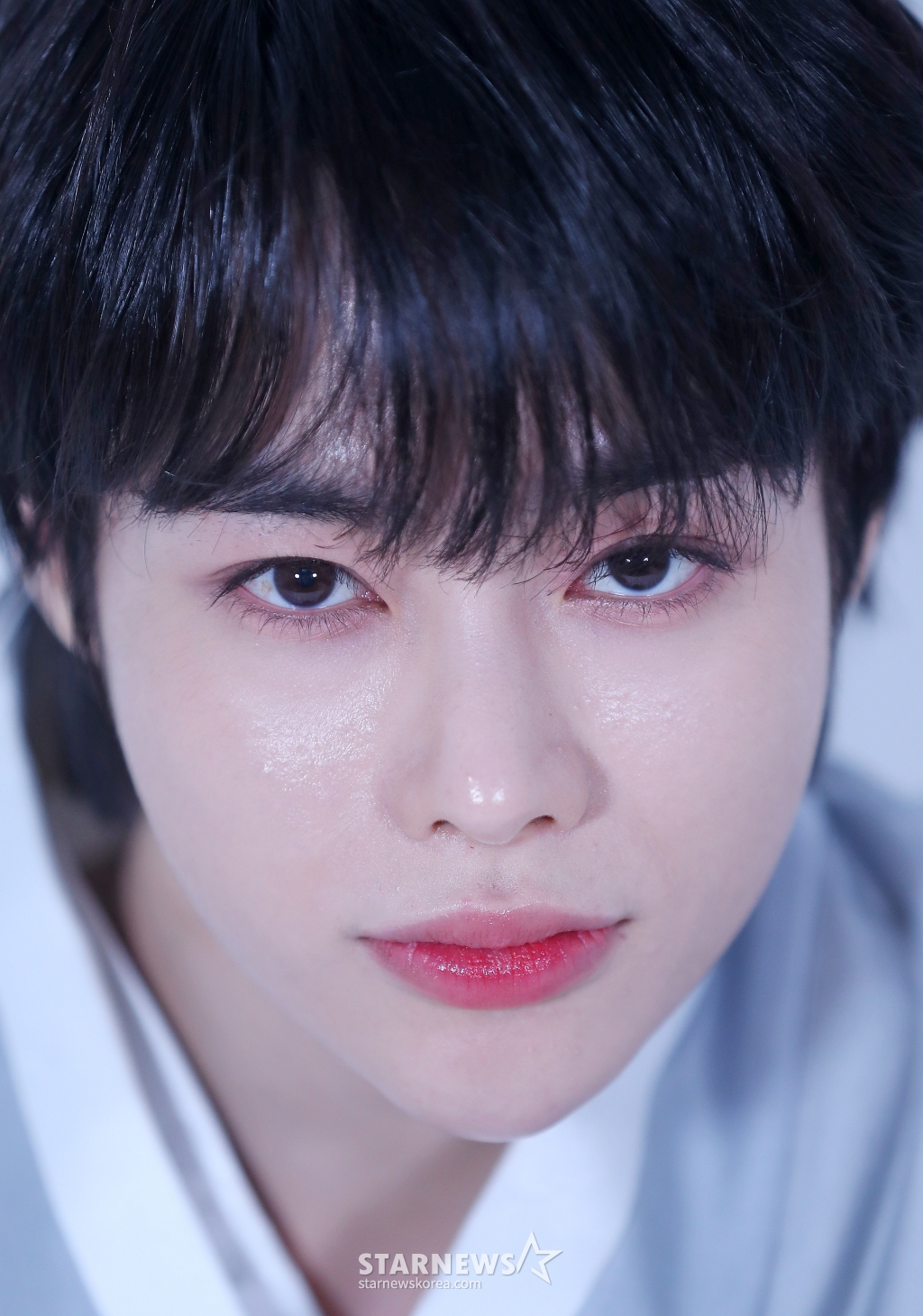 사진