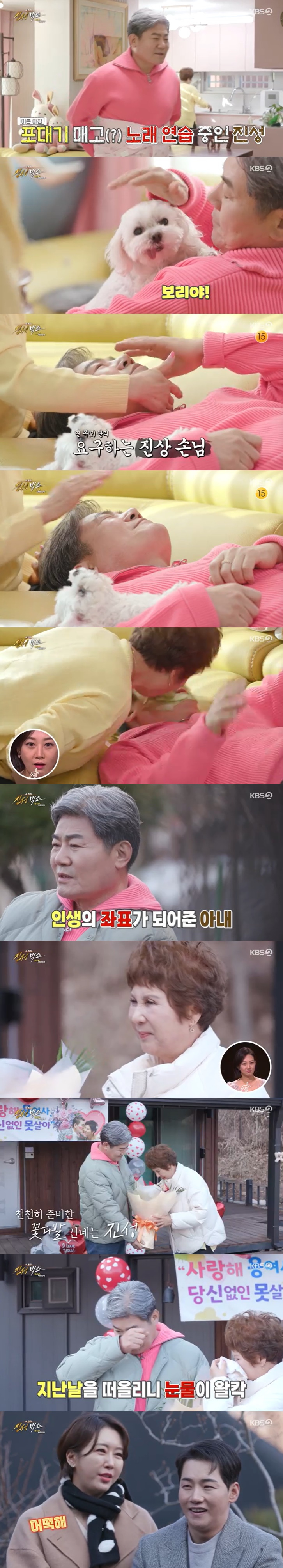 사진