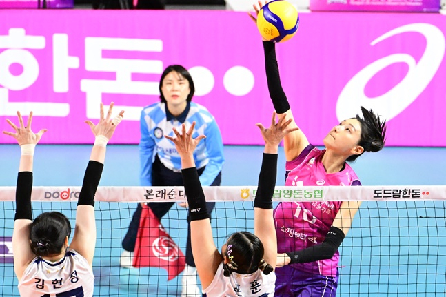 15일 인천 삼산월드체육관에서 열린 화성 IBK기업은행과 2023~2024 도드람 V리그 여자부 맞대결에서 높은 타점에서 스파이크를 날리는 김연경(오른쪽). /사진=KOVO