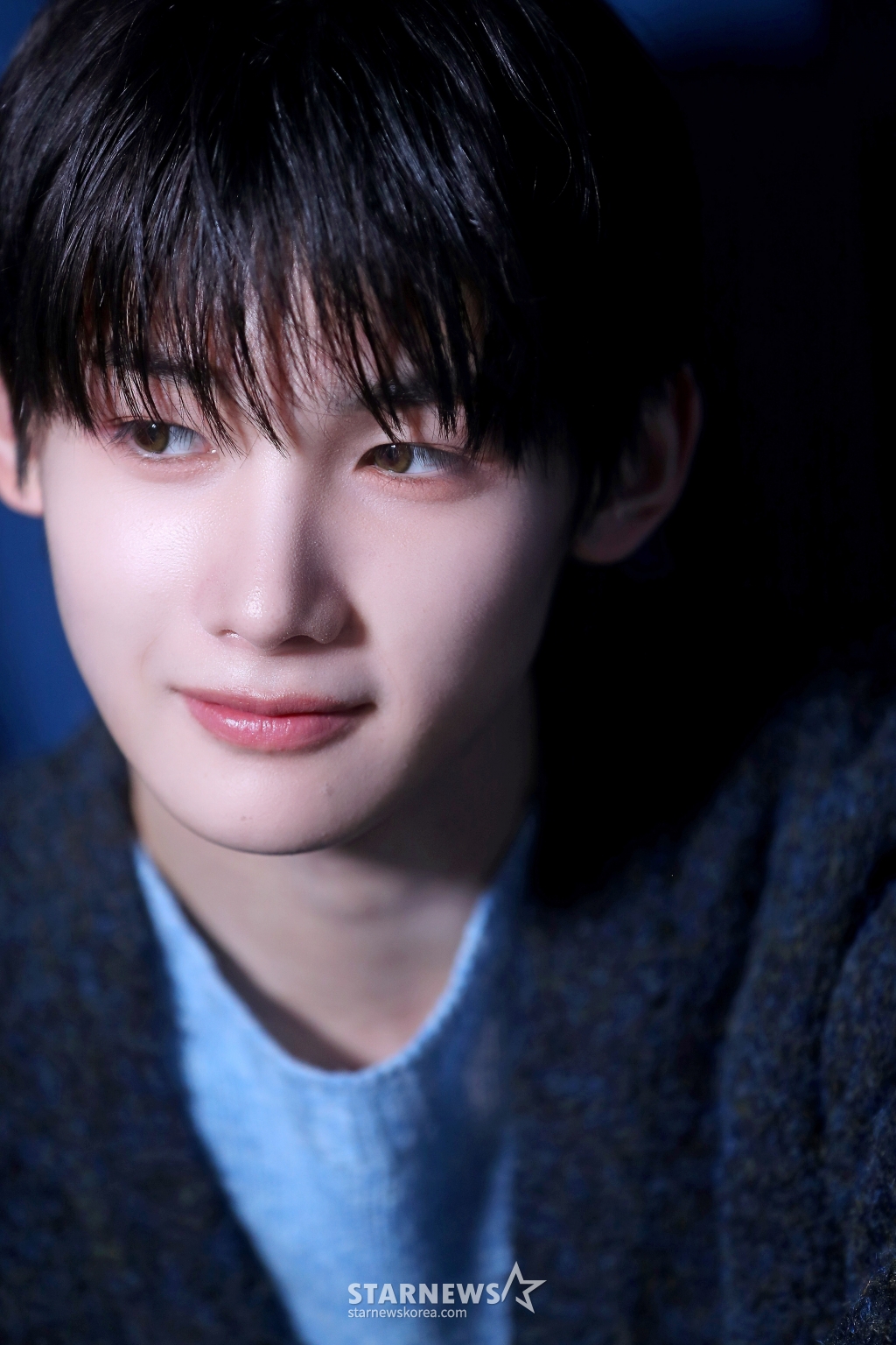 사진