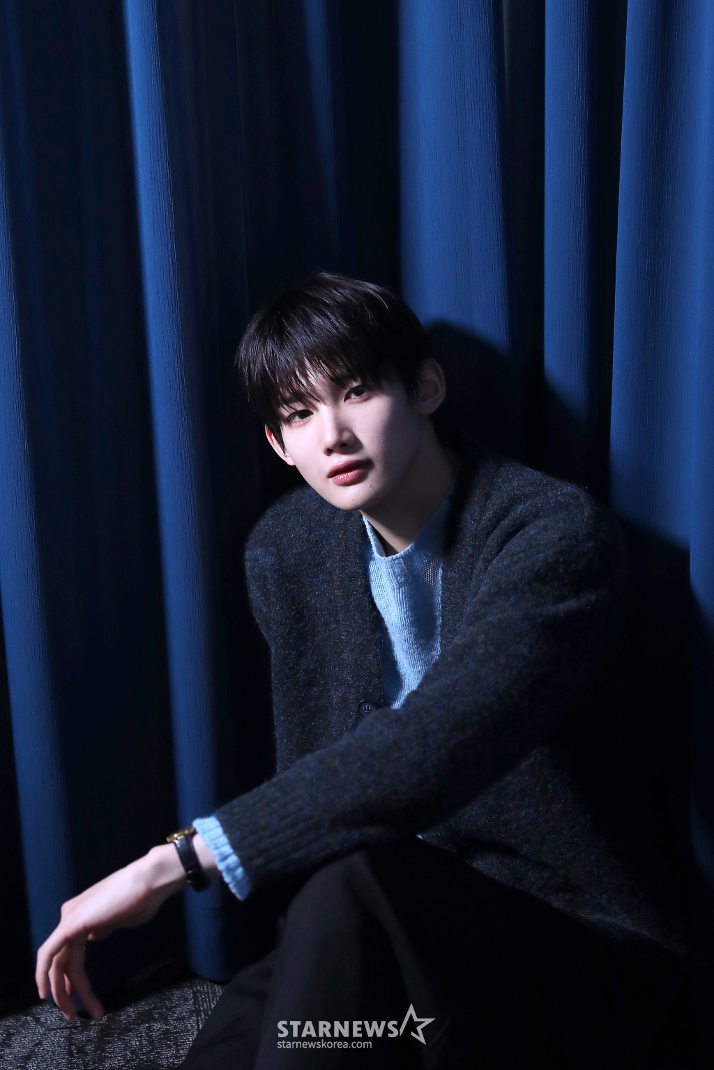 사진