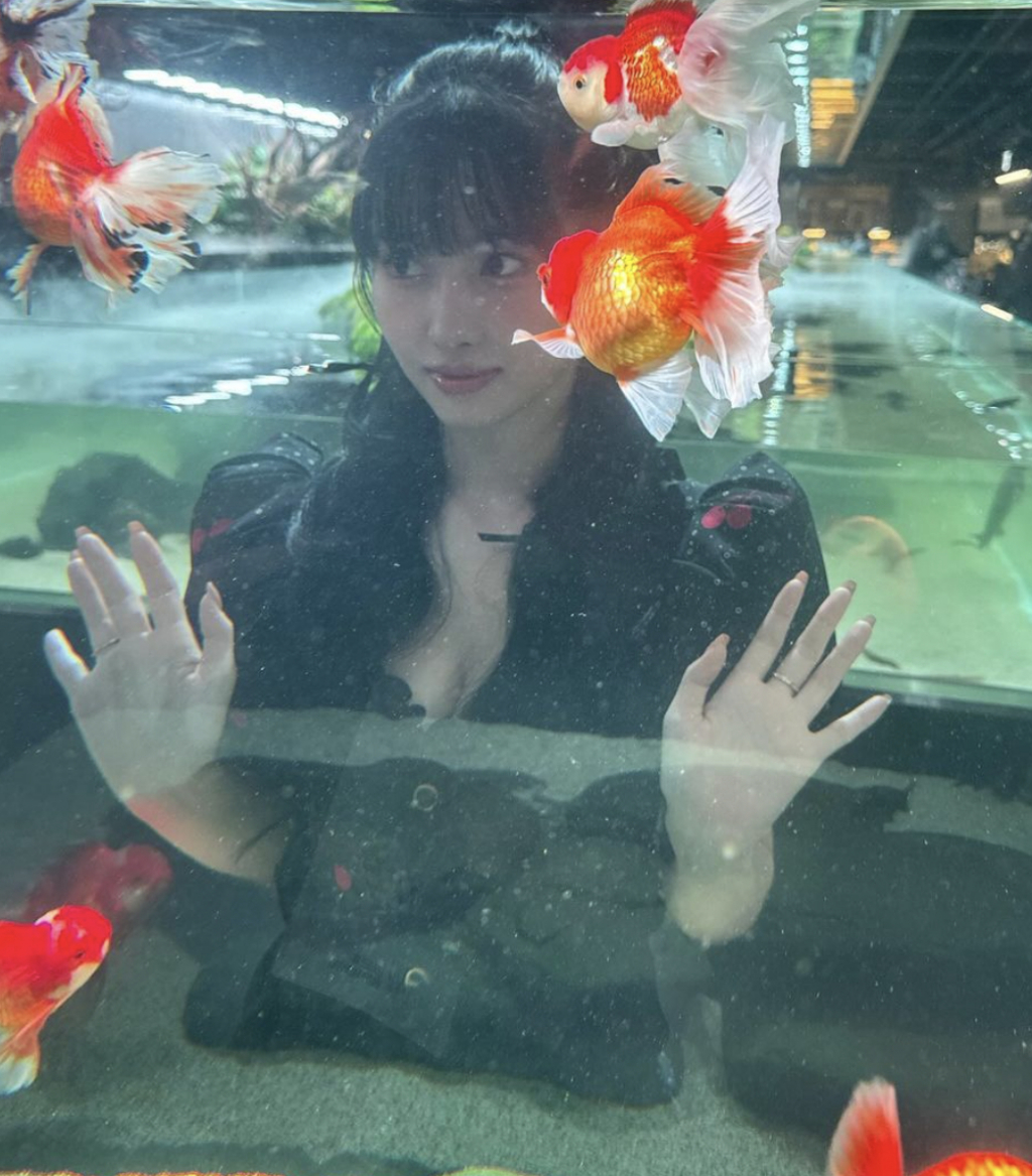 사진