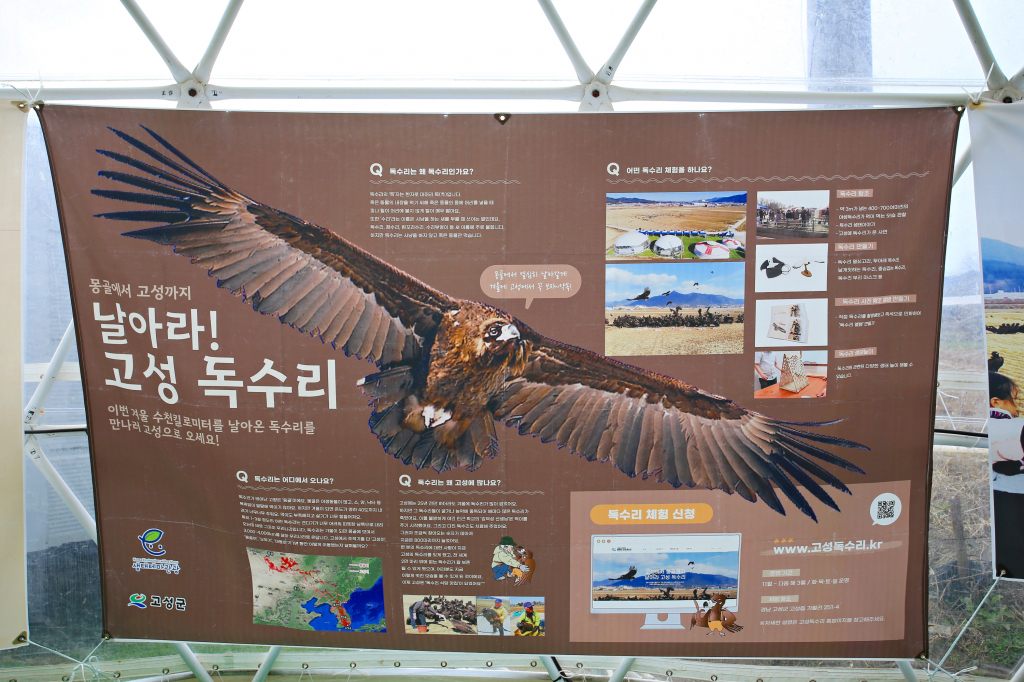경남 고성 독수리체험장의 독수리에 대해 배우는 특별한 생태관광 프로그램_김수진 작가 촬영