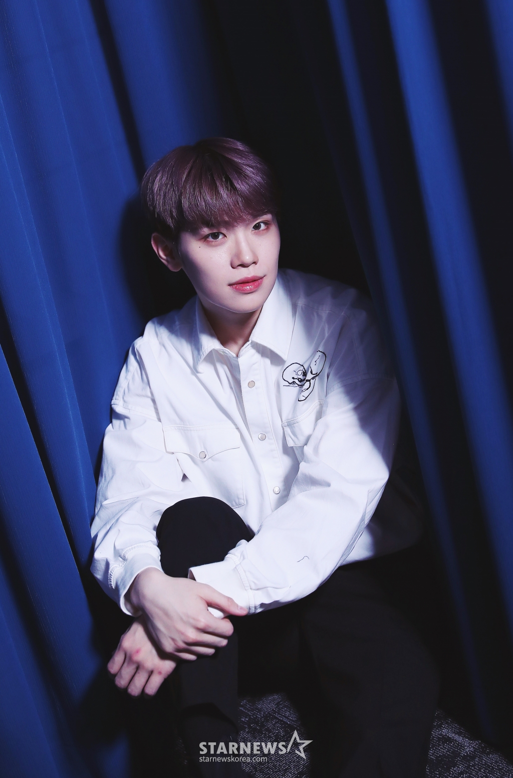 사진