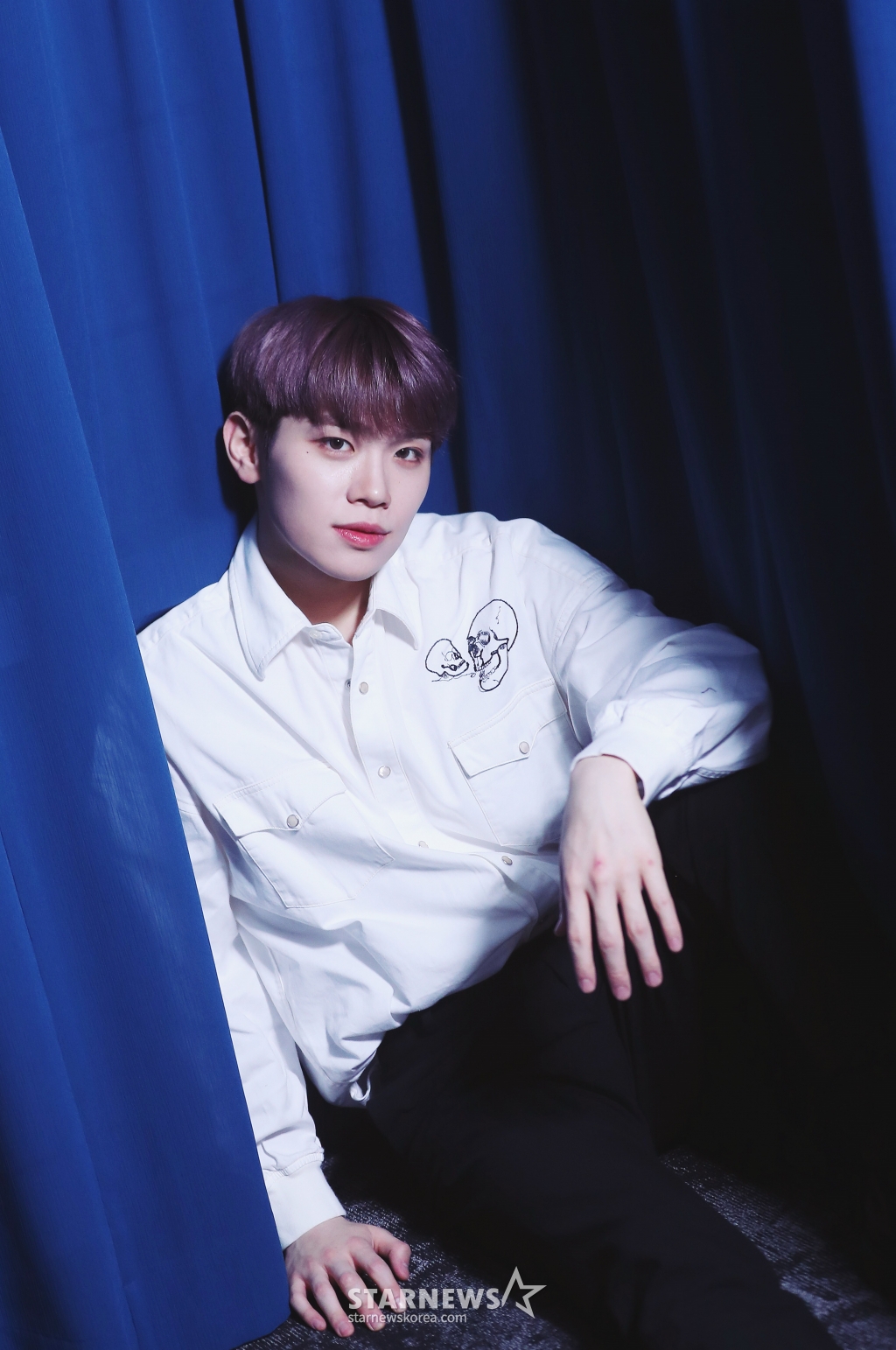 사진
