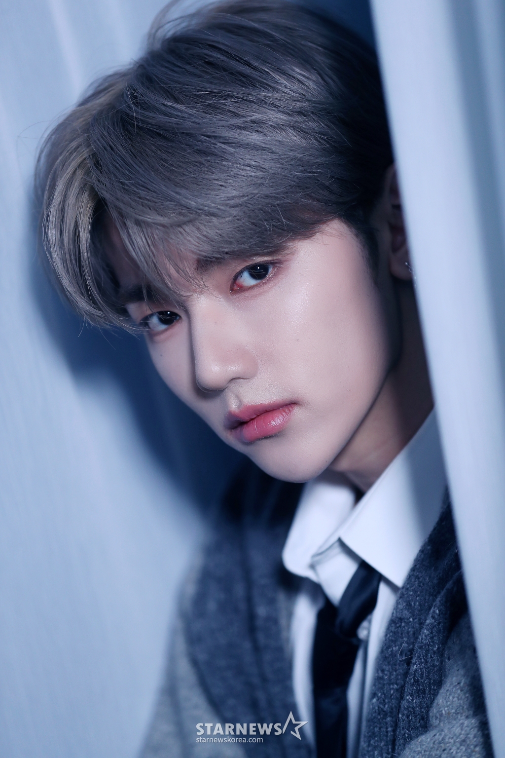 사진