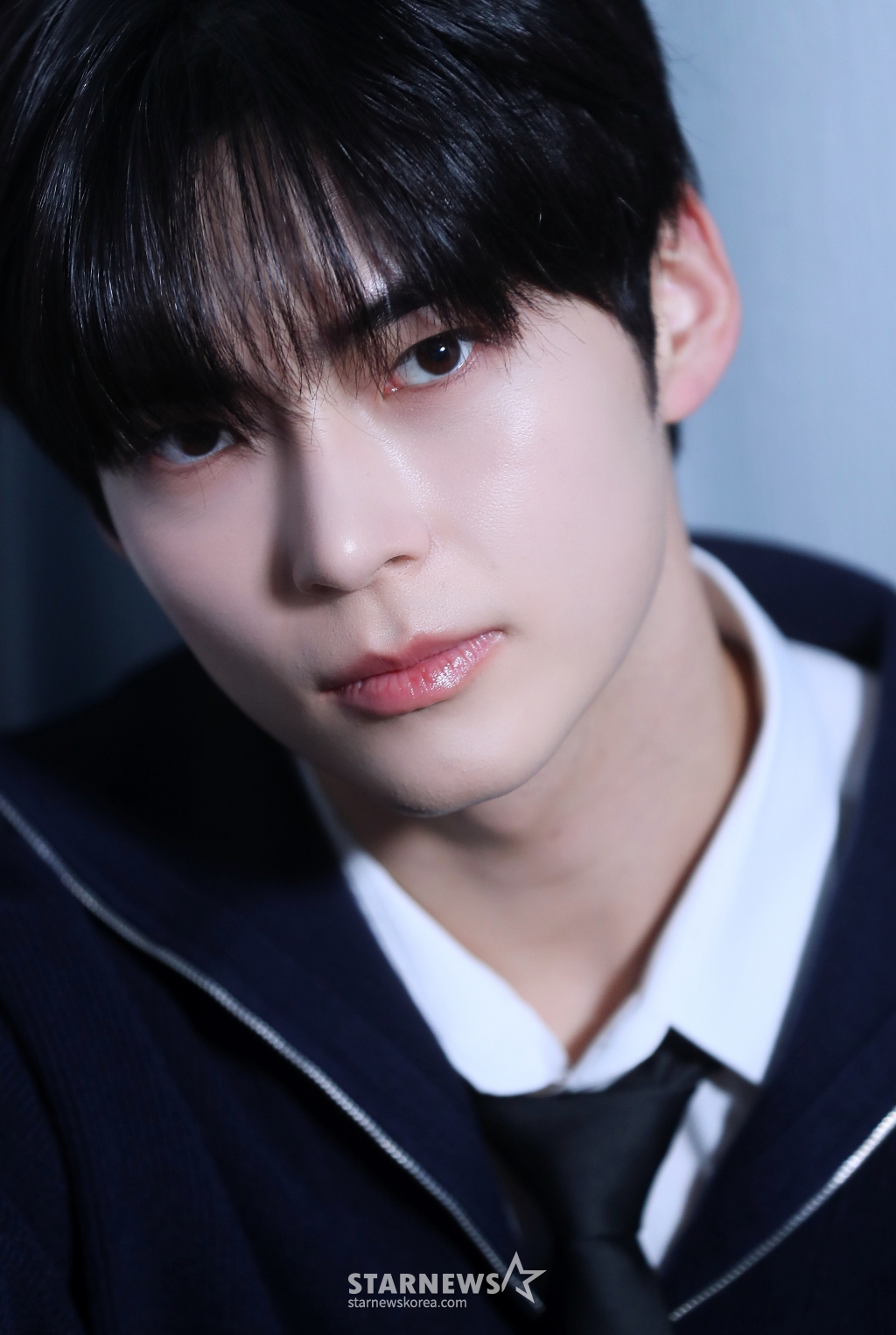 사진