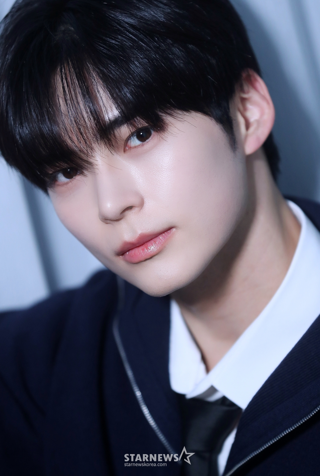 사진