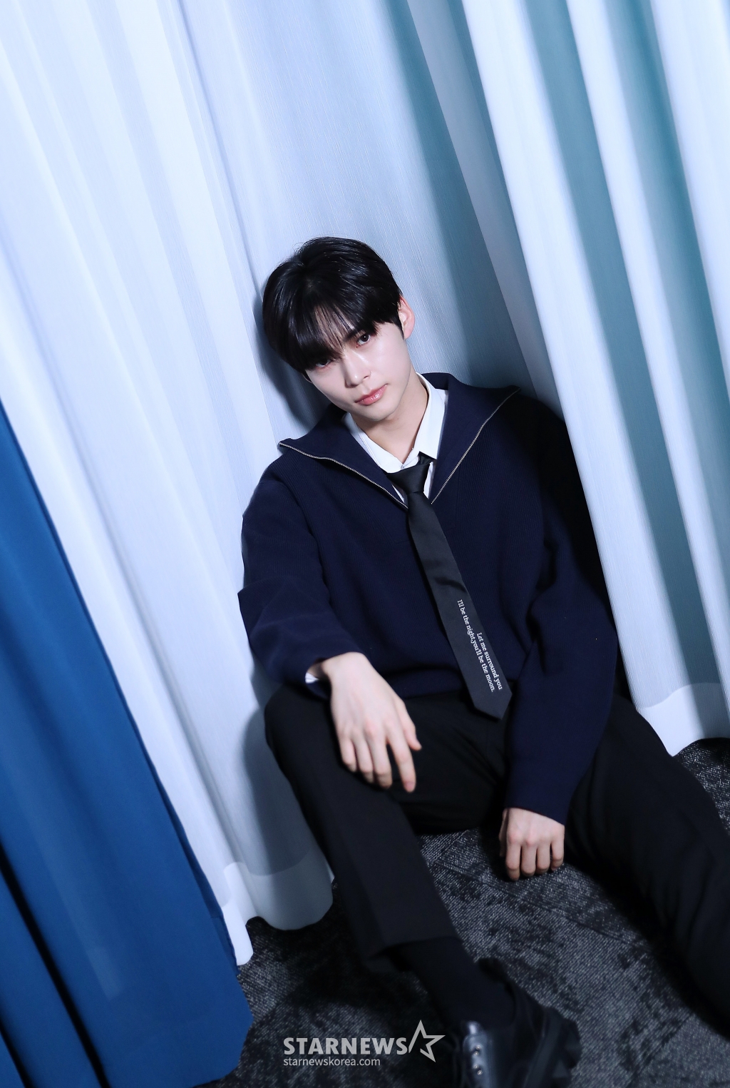 사진