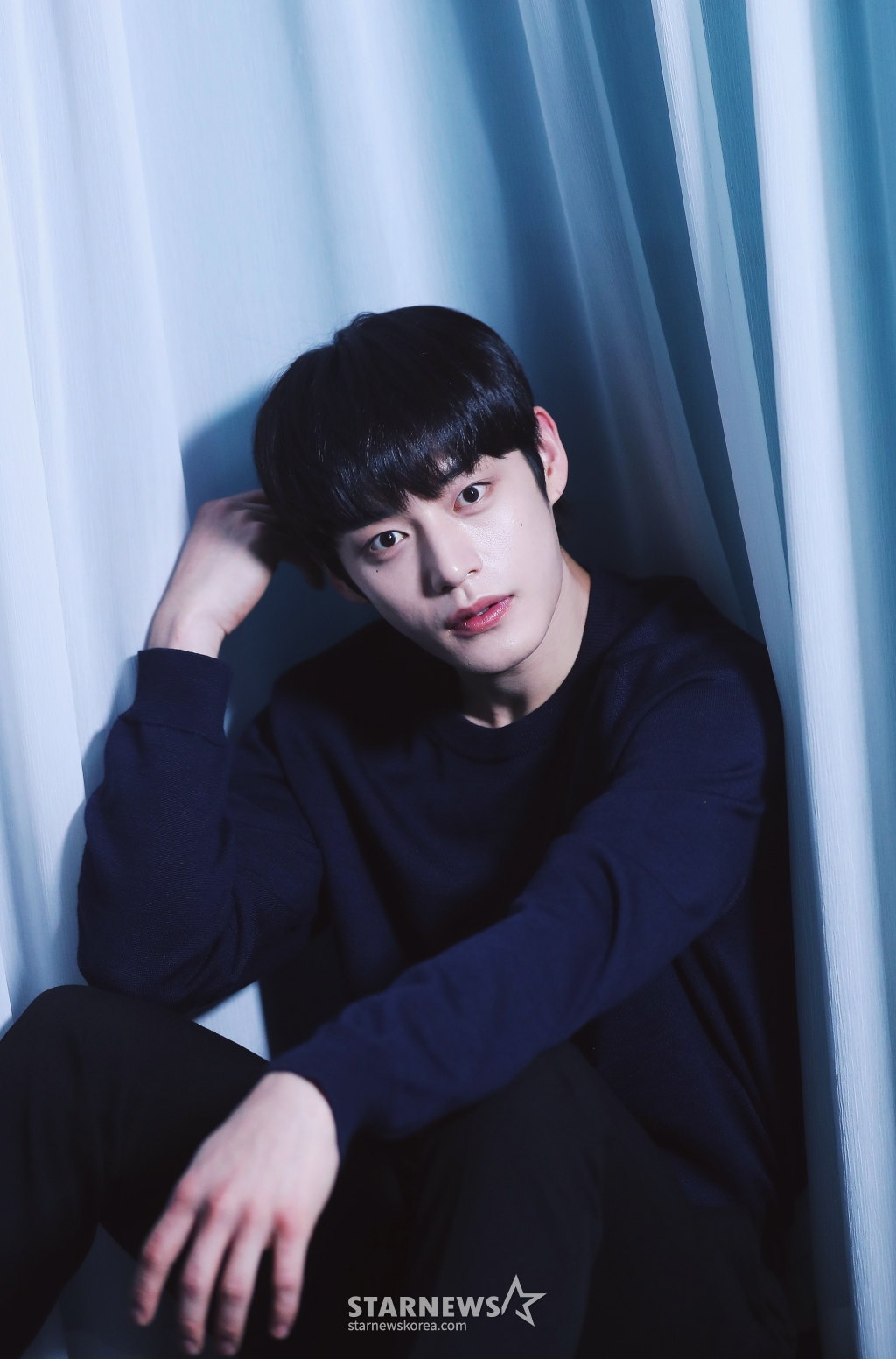 사진