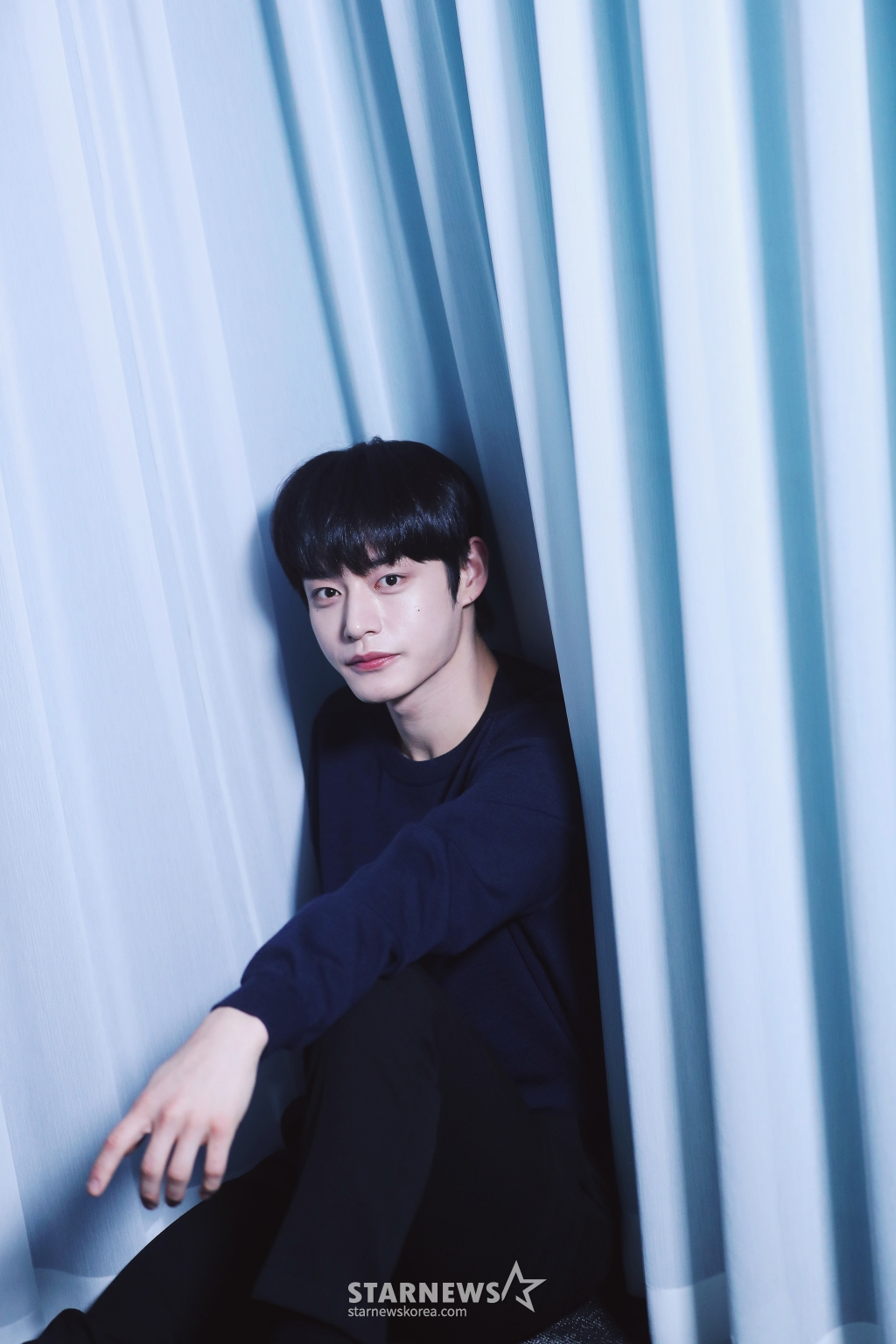 사진