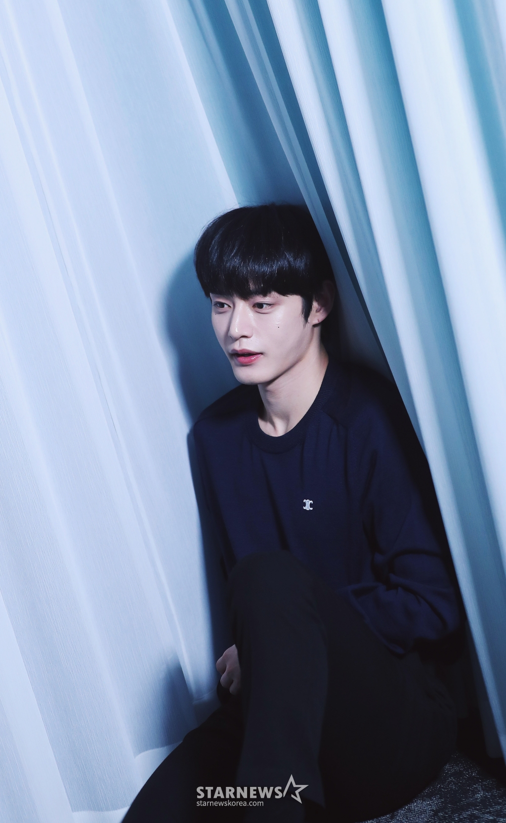 사진