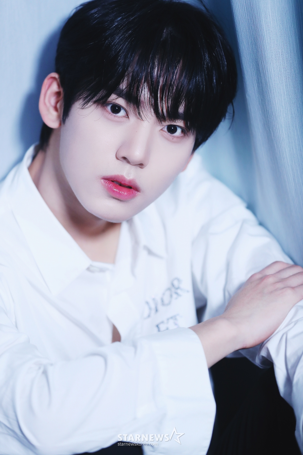 사진