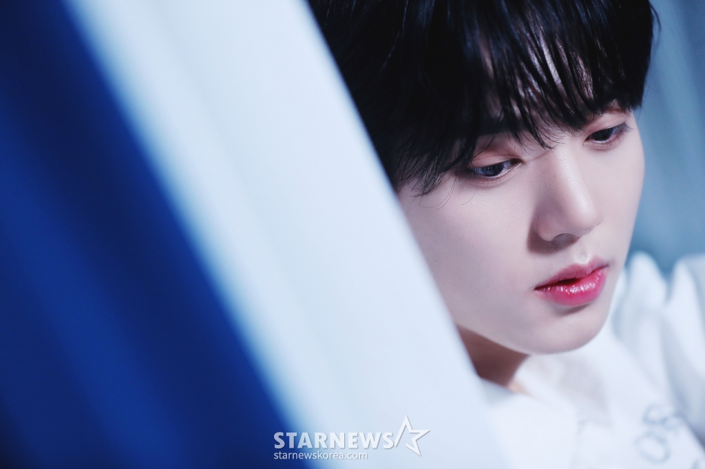 사진
