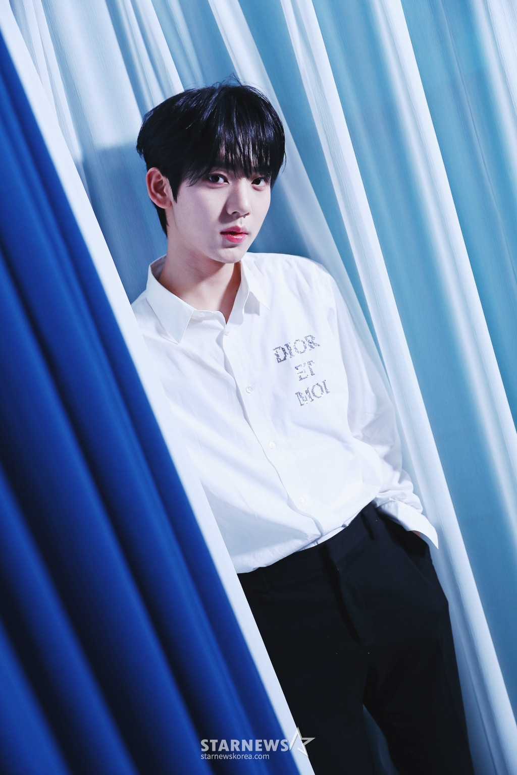 사진