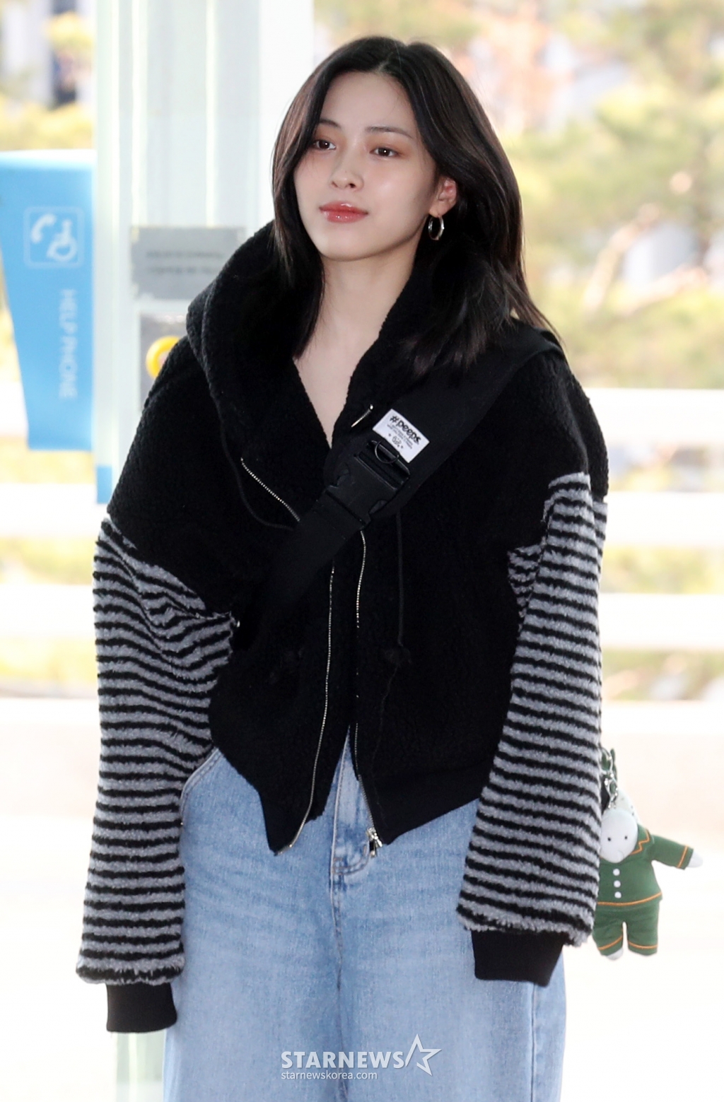 사진