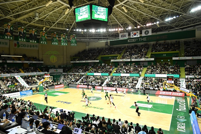 원주 DB 팬들. /사진=KBL 제공
