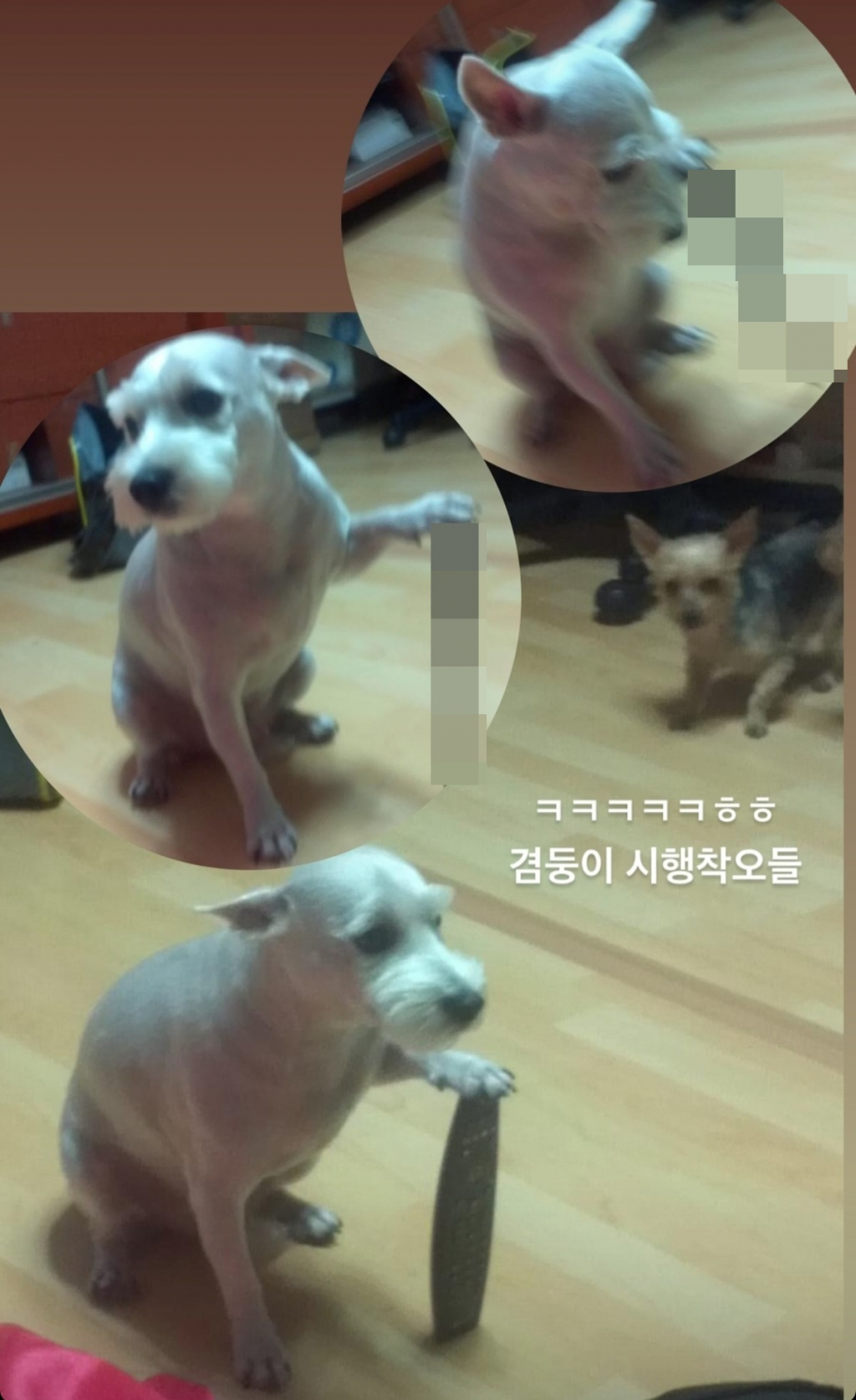 /사진=온라인 커뮤니티