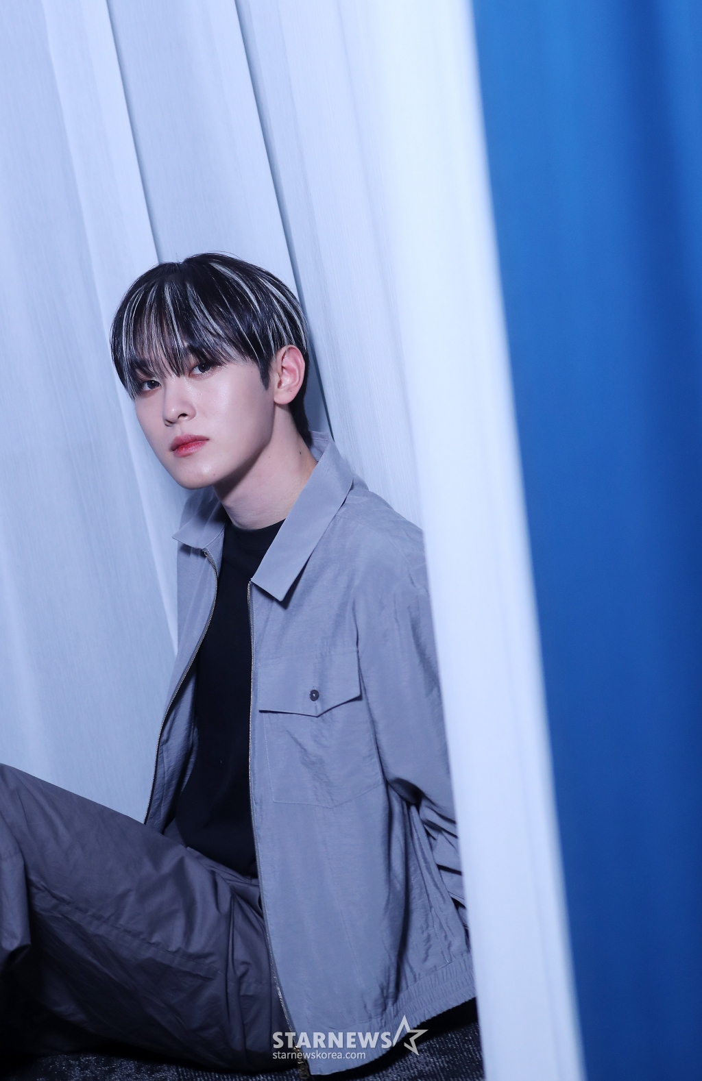 사진