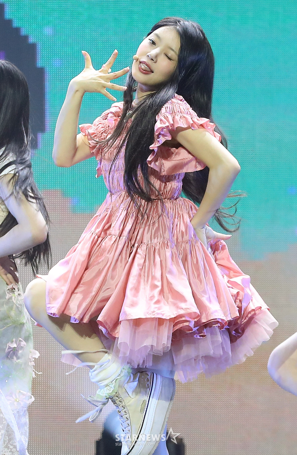 사진