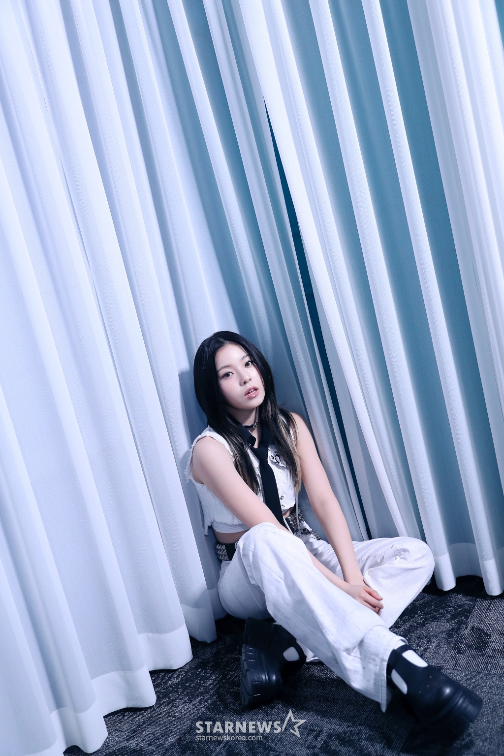 사진
