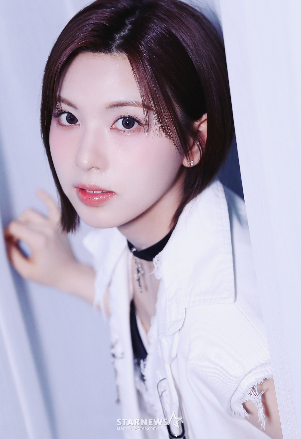 사진
