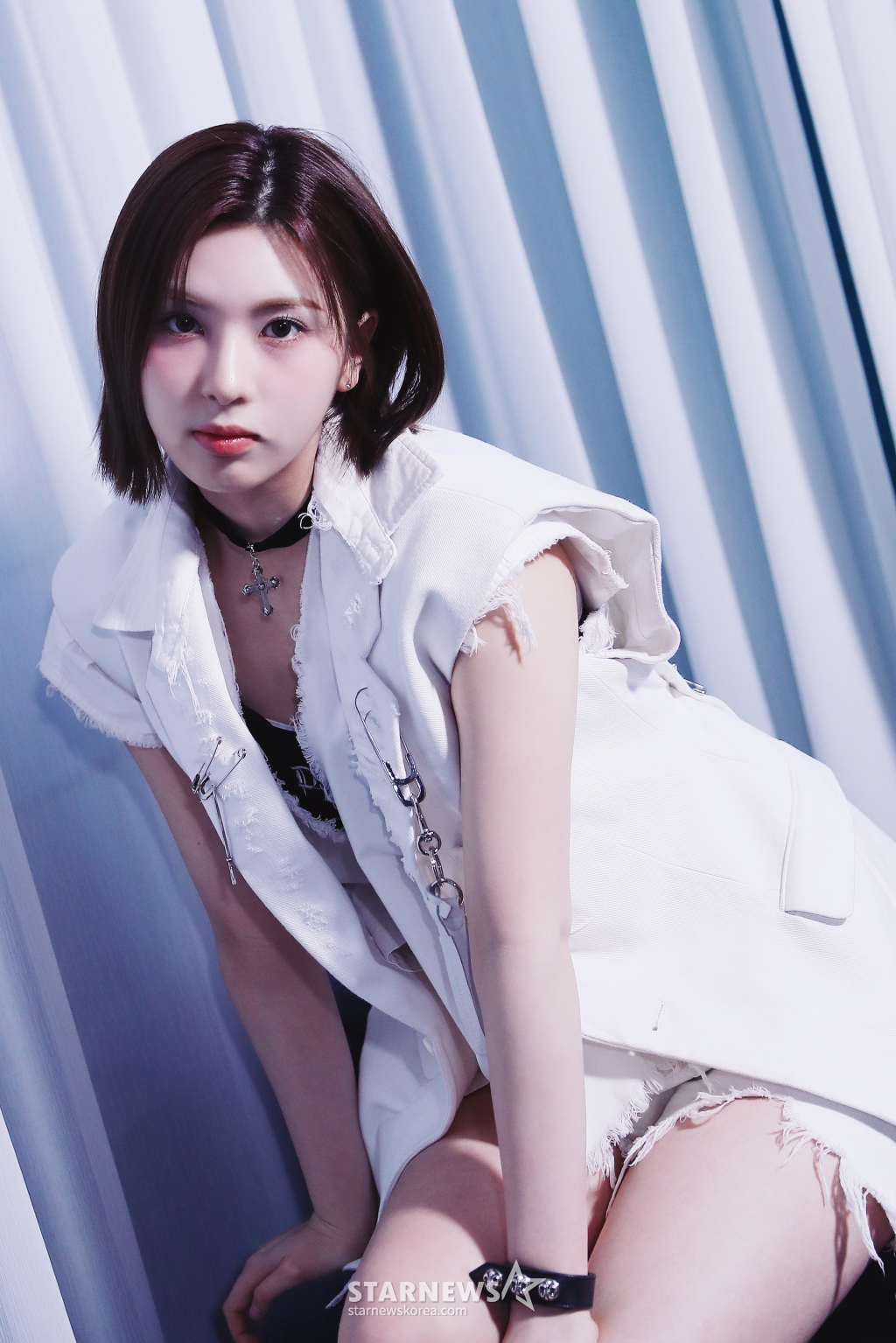 사진