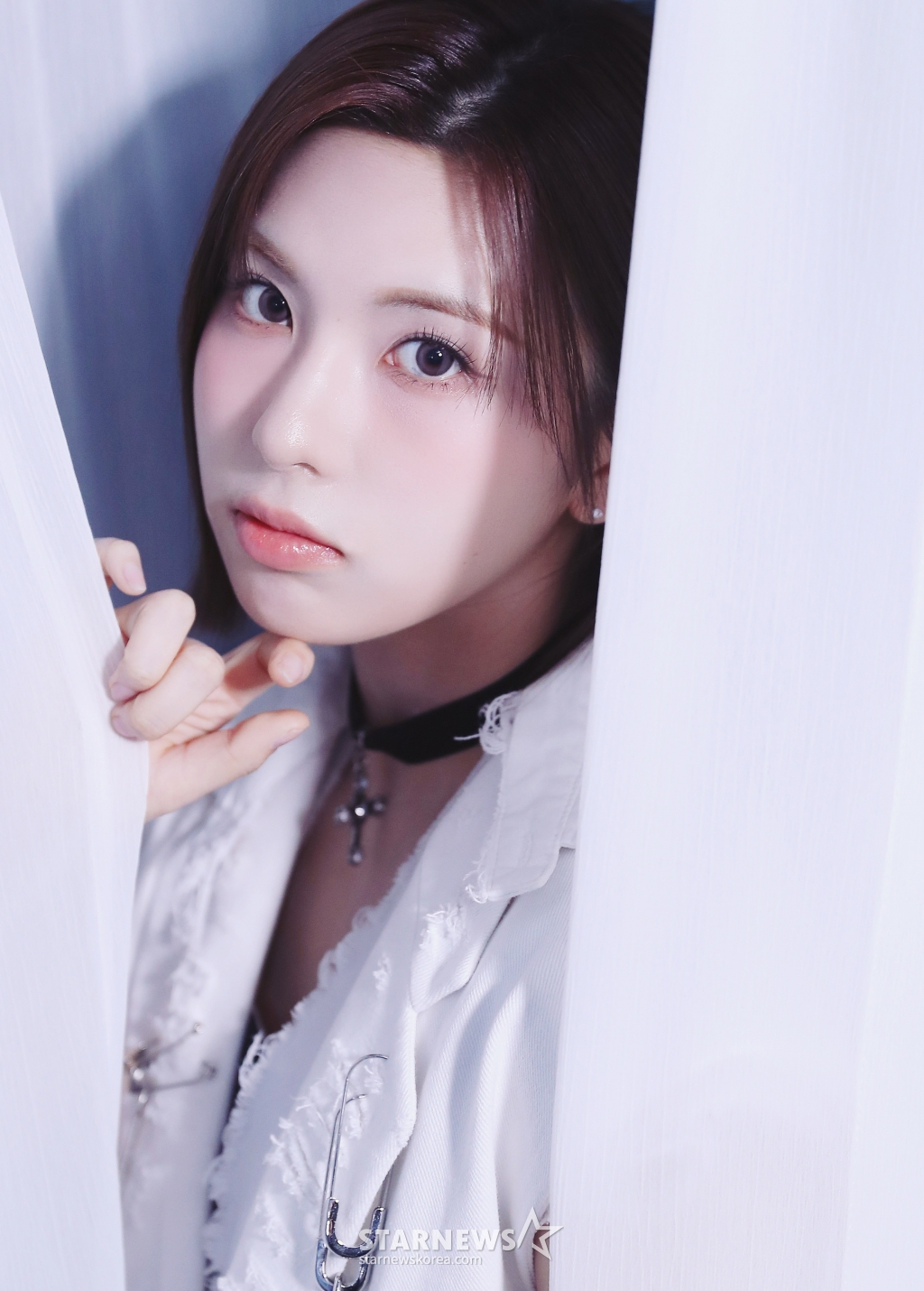사진
