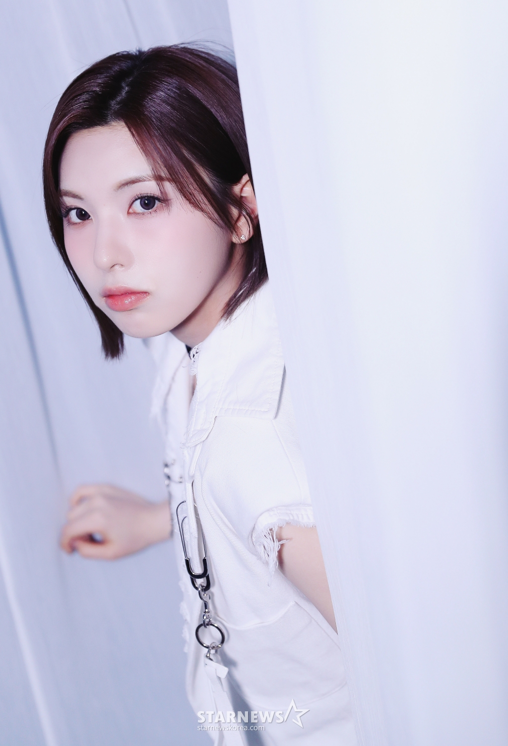 사진