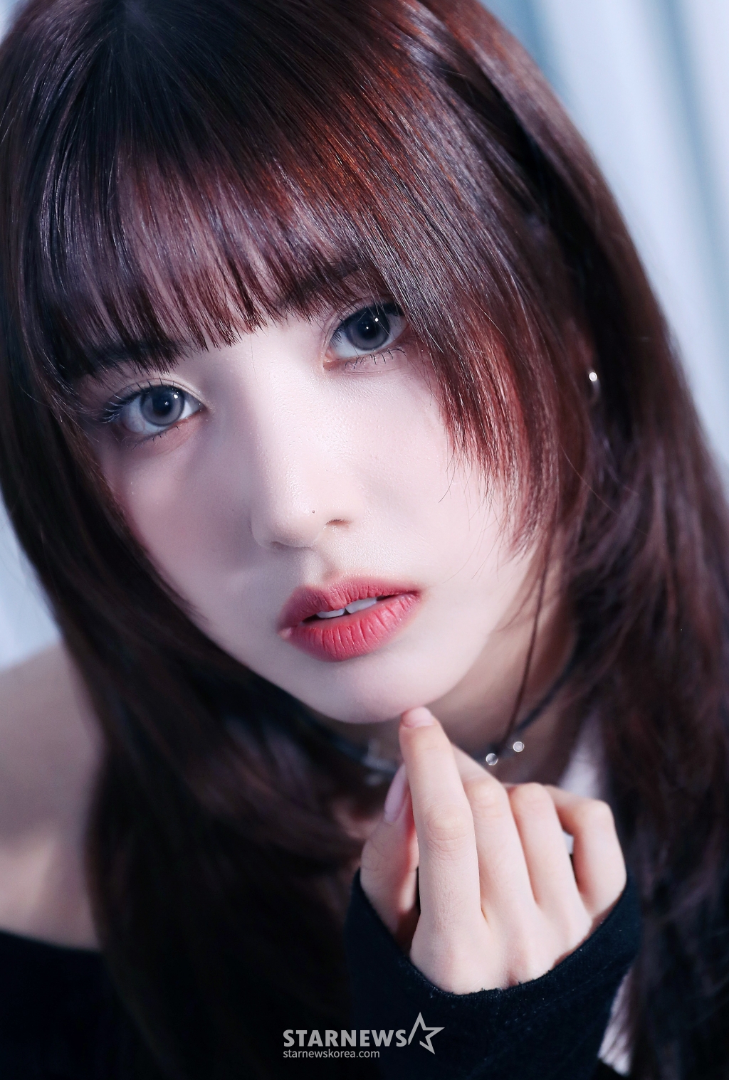 사진