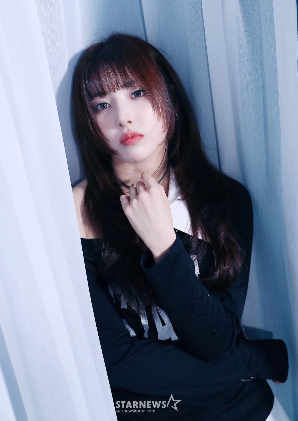 사진
