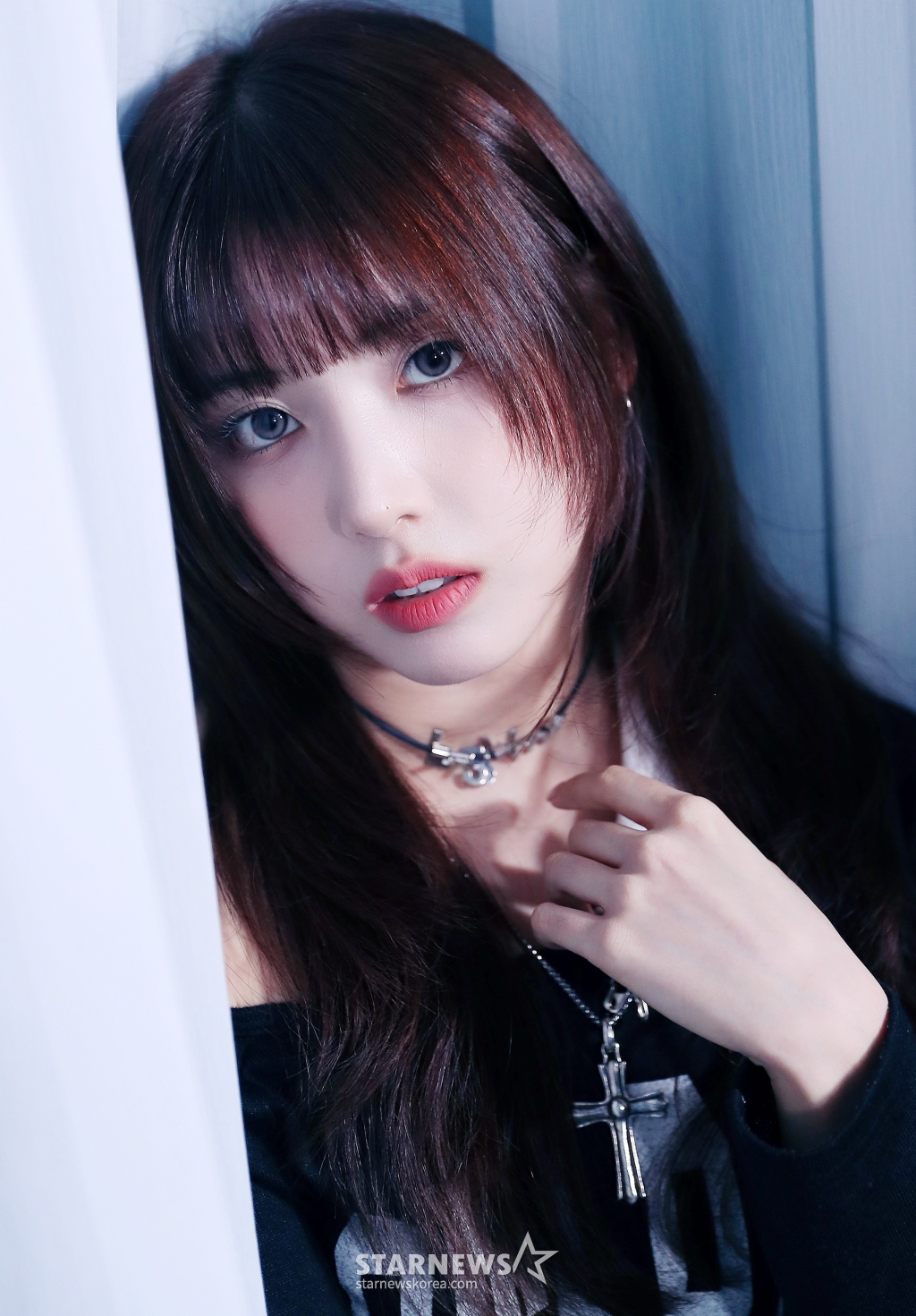 사진