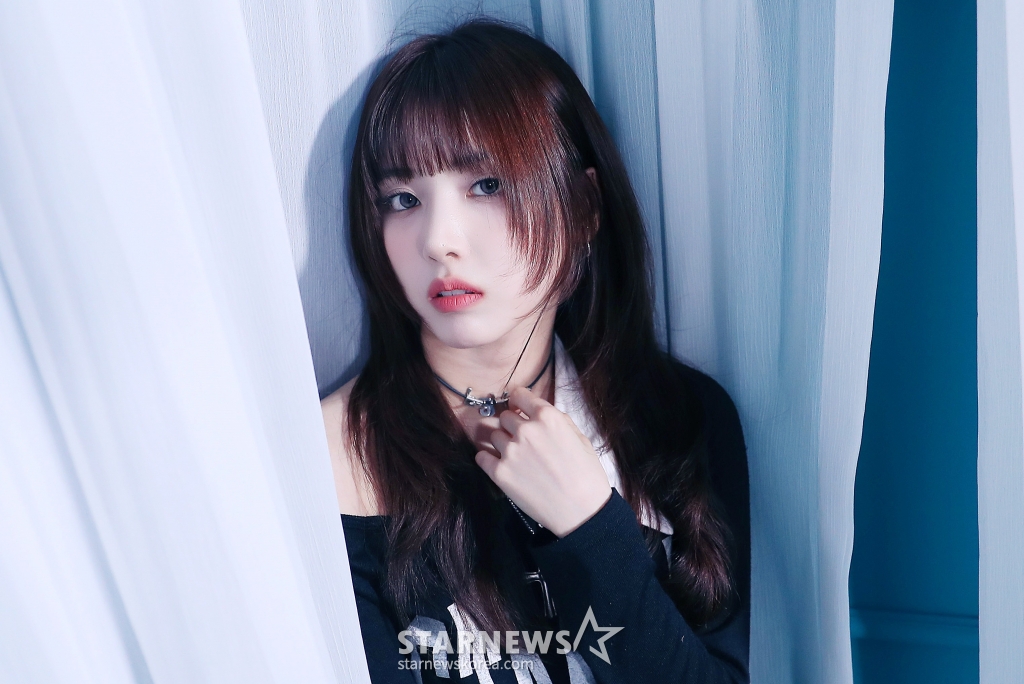 사진