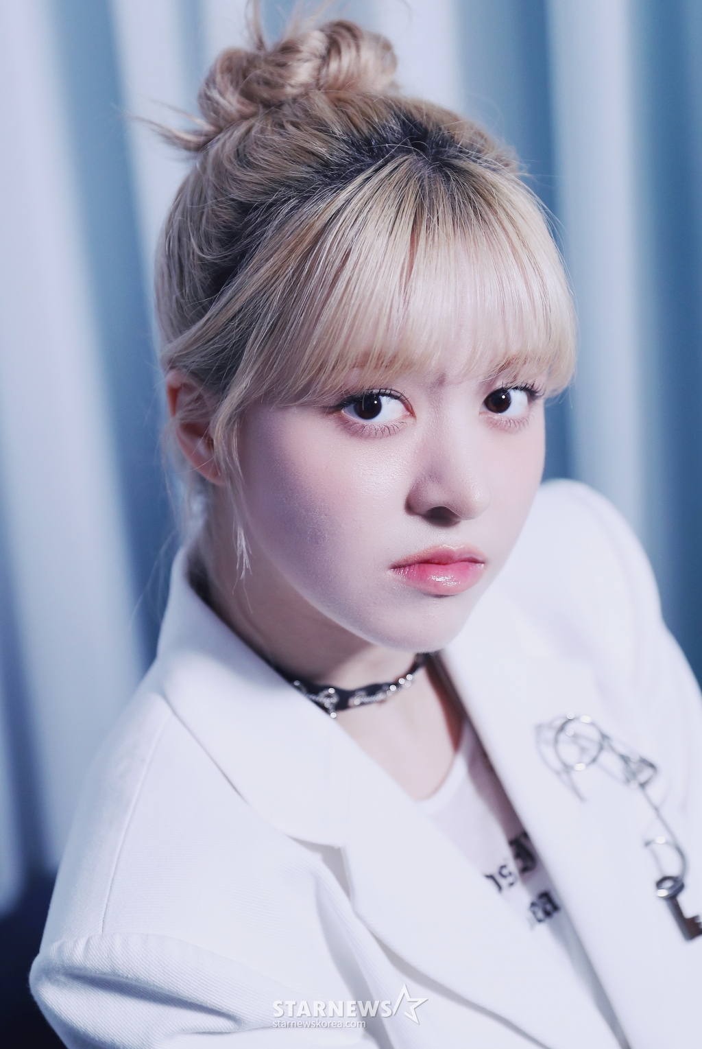 사진