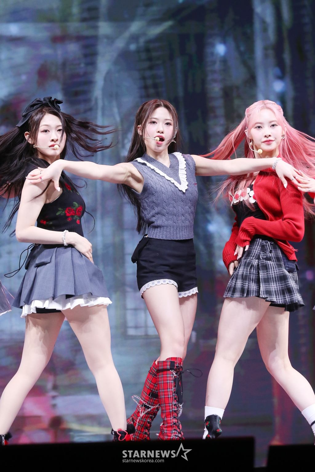사진