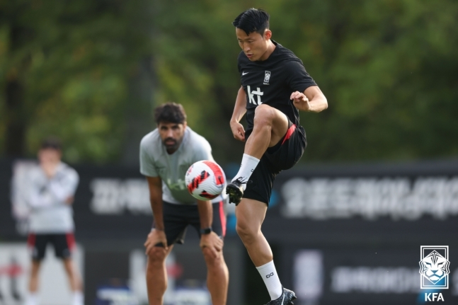 손준호. /사진=KFA
