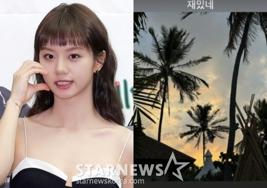 /사진=스타뉴스, 혜리 SNS