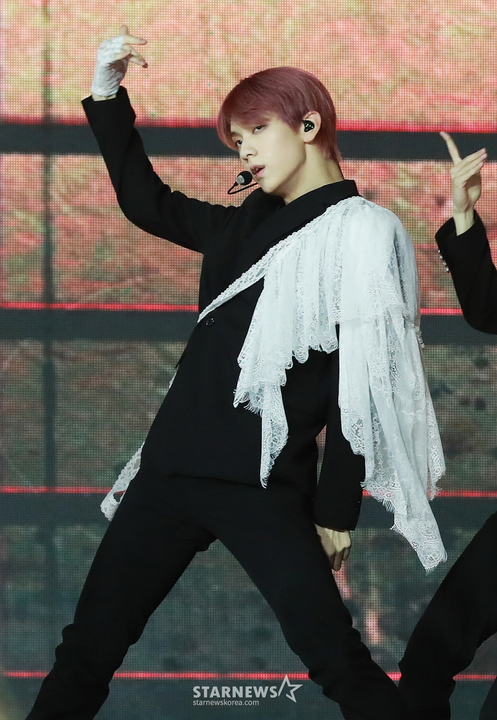 사진