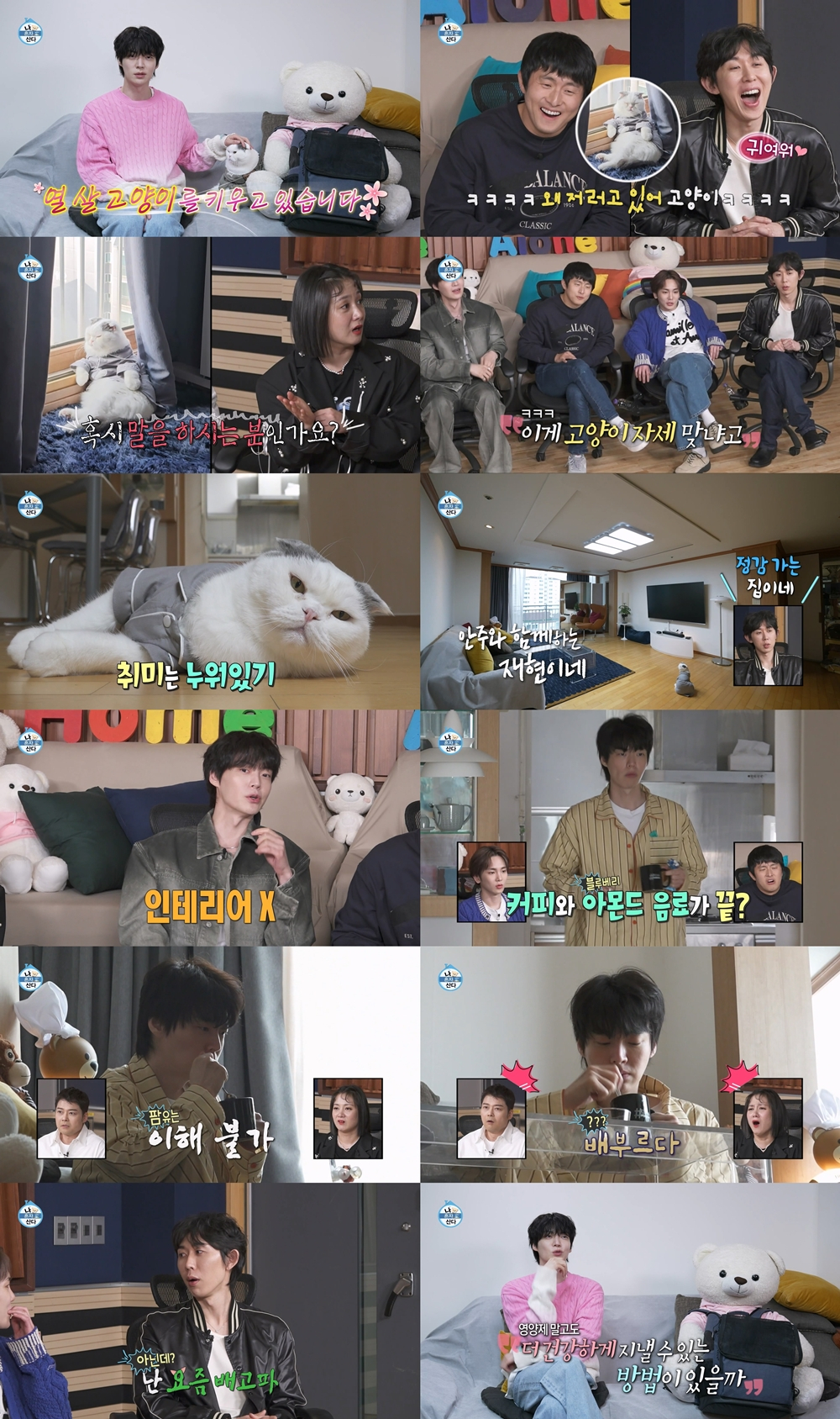 안재현 / 사진=MBC 나 혼자 산다