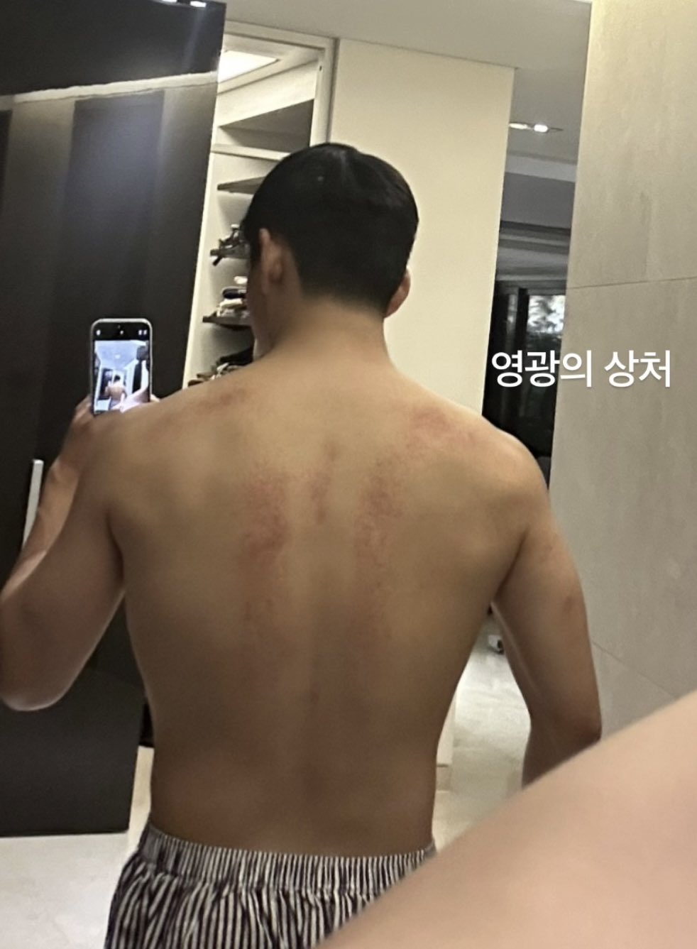 사진