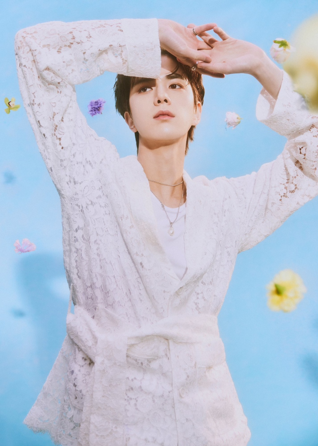 사진