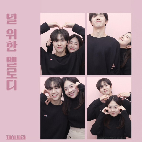 /사진=디스튜디오
