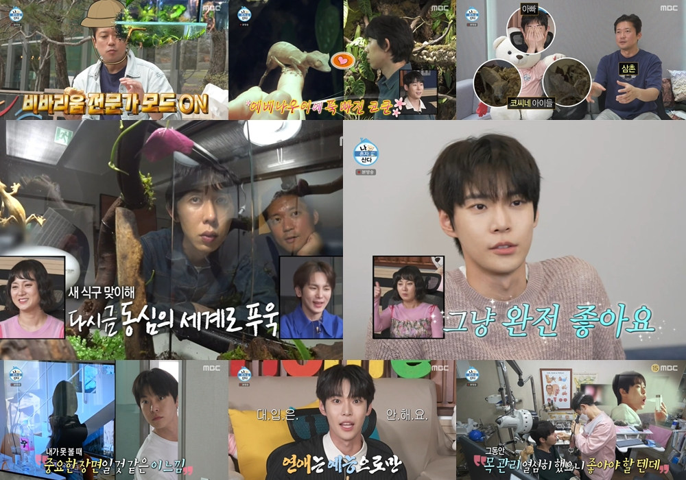 /사진=MBC