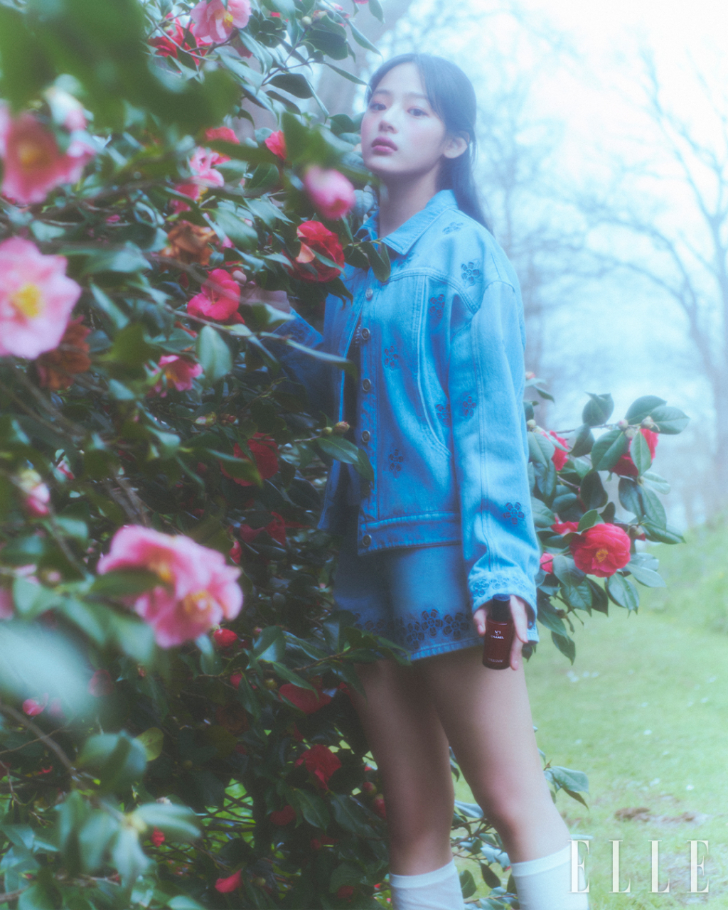 사진