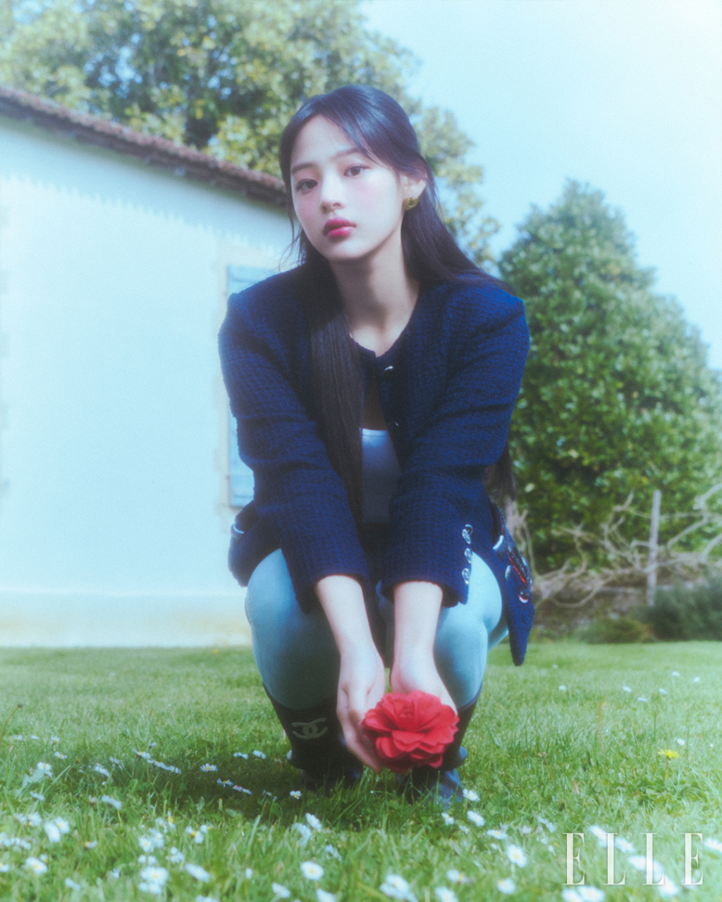 사진