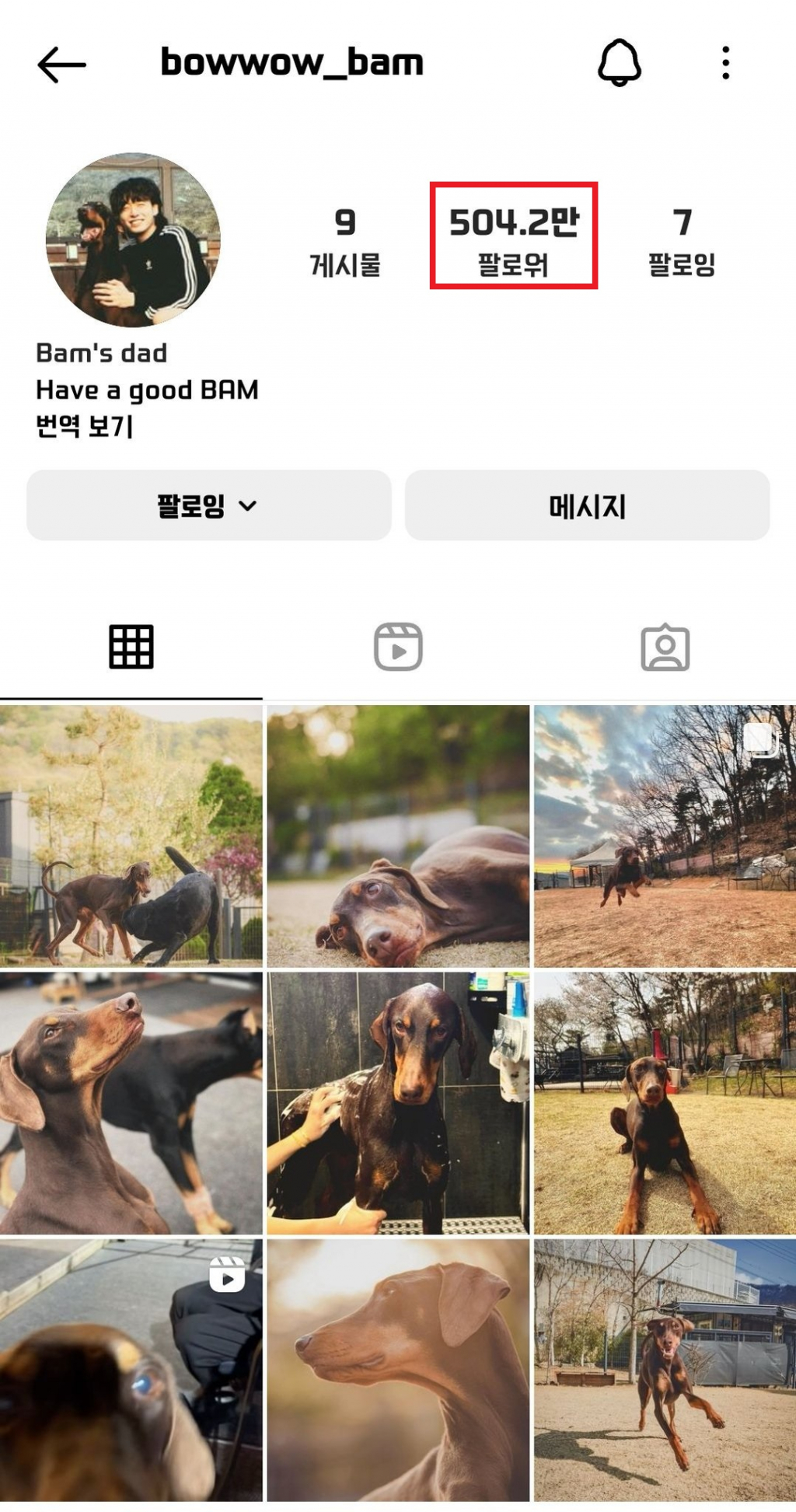 사진