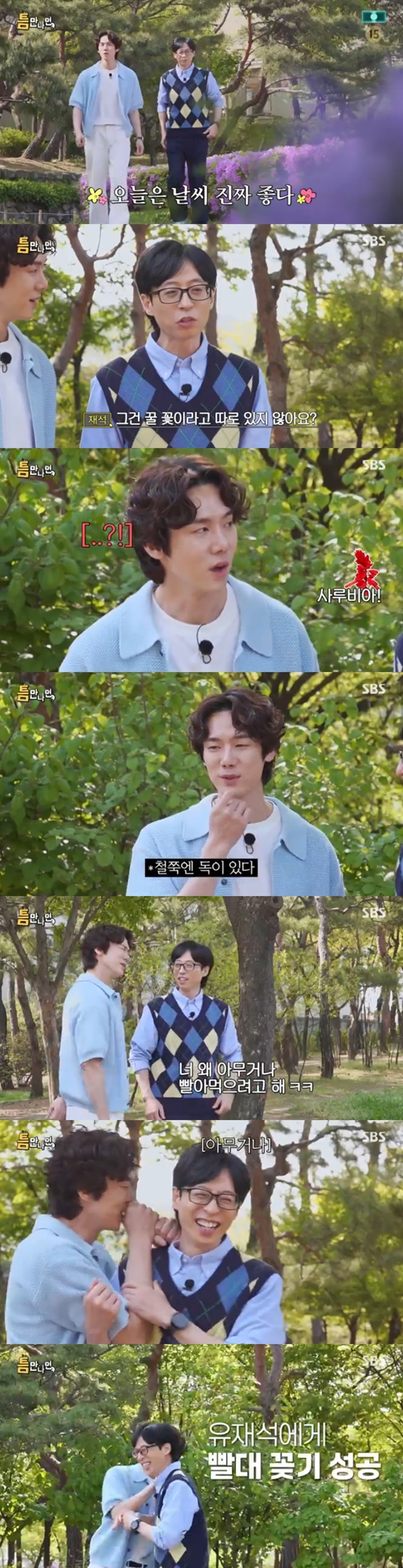 SBS '틈만 나면,'/사진=SBS '틈만 나면,' 방송 화면 캡처