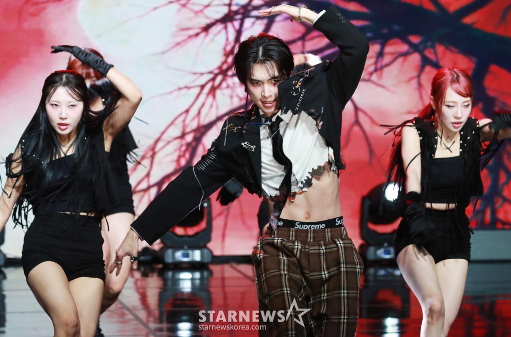 사진